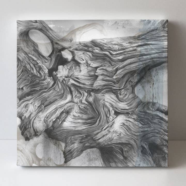 'Driftwood Study 3' canvas print for wholesale by Fiona Francois Art