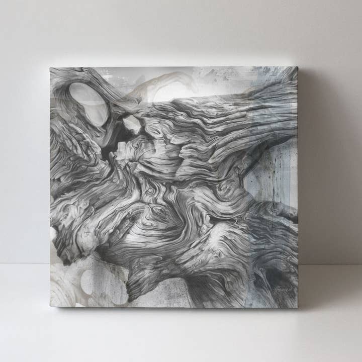 'Driftwood Study 3' canvas print for wholesale by Fiona Francois Art