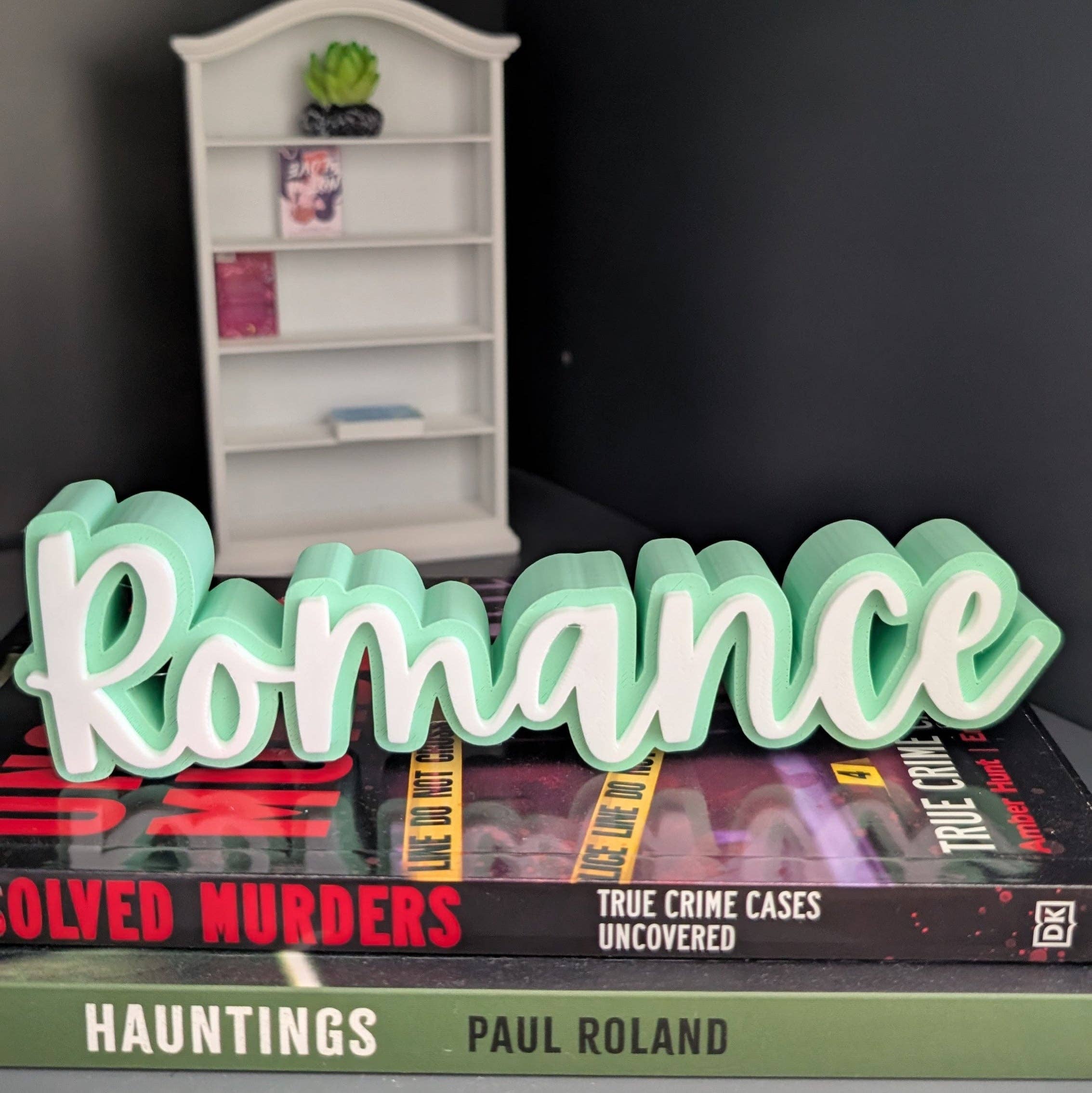 The Gift Genie LLC - Wholesale Bookend - 3D Book Sitters9