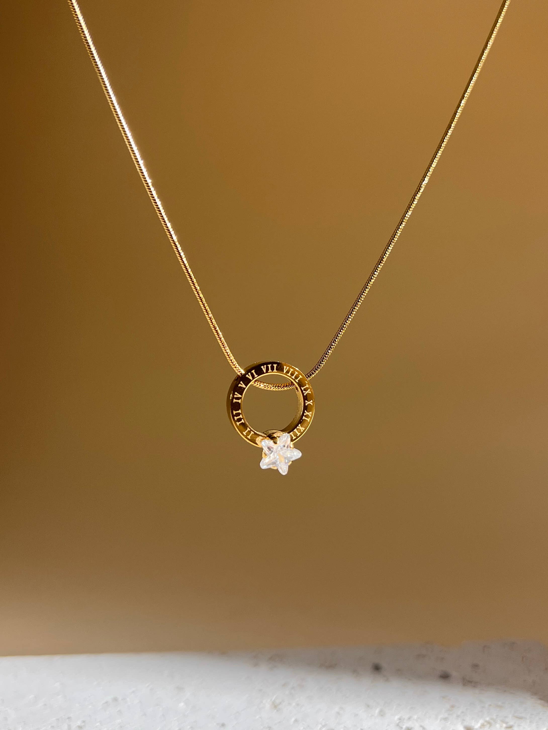 COSMOS – wholesale Pendant/charm necklace – Stainless steel necklace with zircon circle Roman numerals0