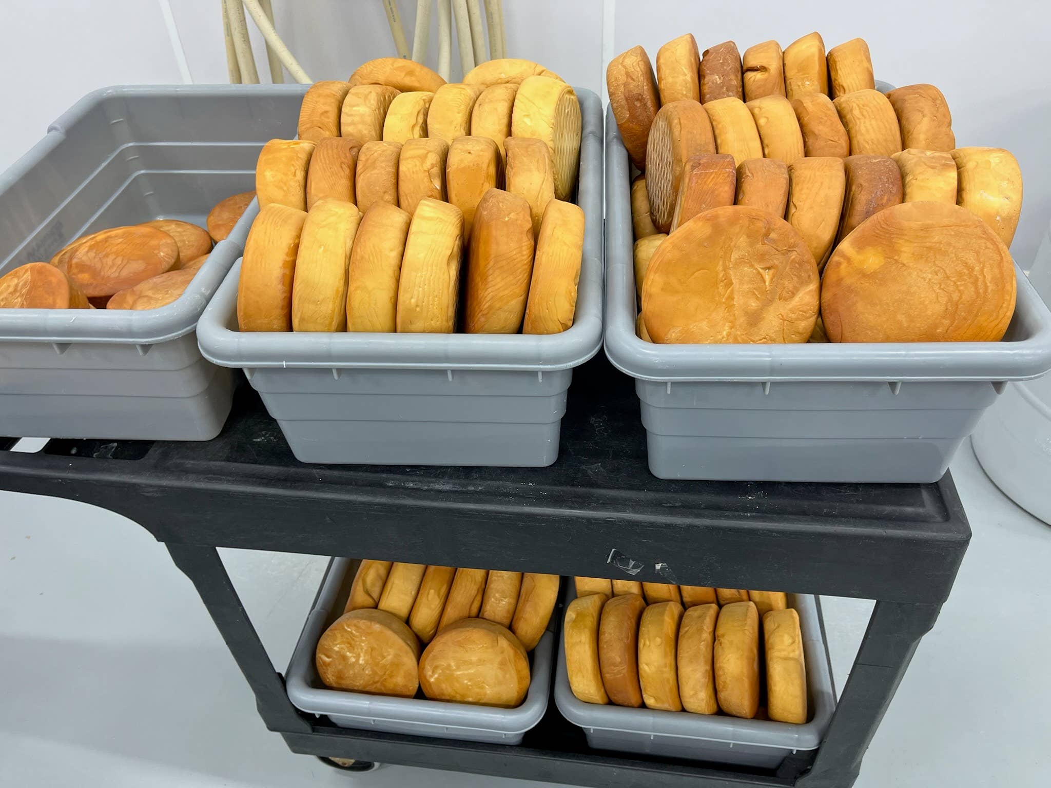 Kasemeister Creamery - Wholesale Cheese - Smoked Sulguni1