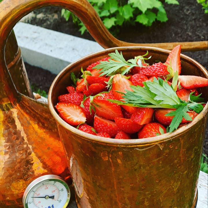 Jordbær bynke Hydrosol for engroshandel hos Loomis Hill Botanics