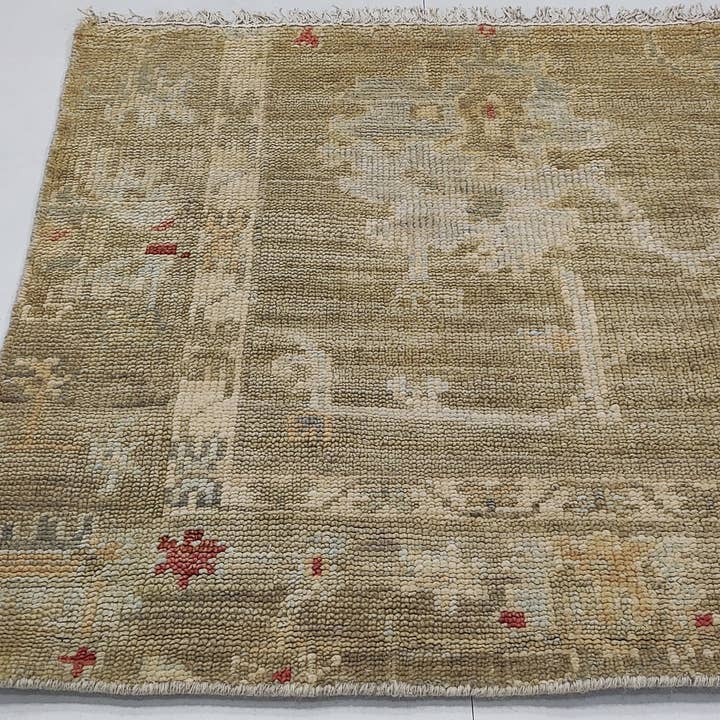 Banana Manor Rug Co. - Wholesale Area Rug - Betty Lou Hand-Knotted Turkish Oushak (Multiple Sizes and Colors)9