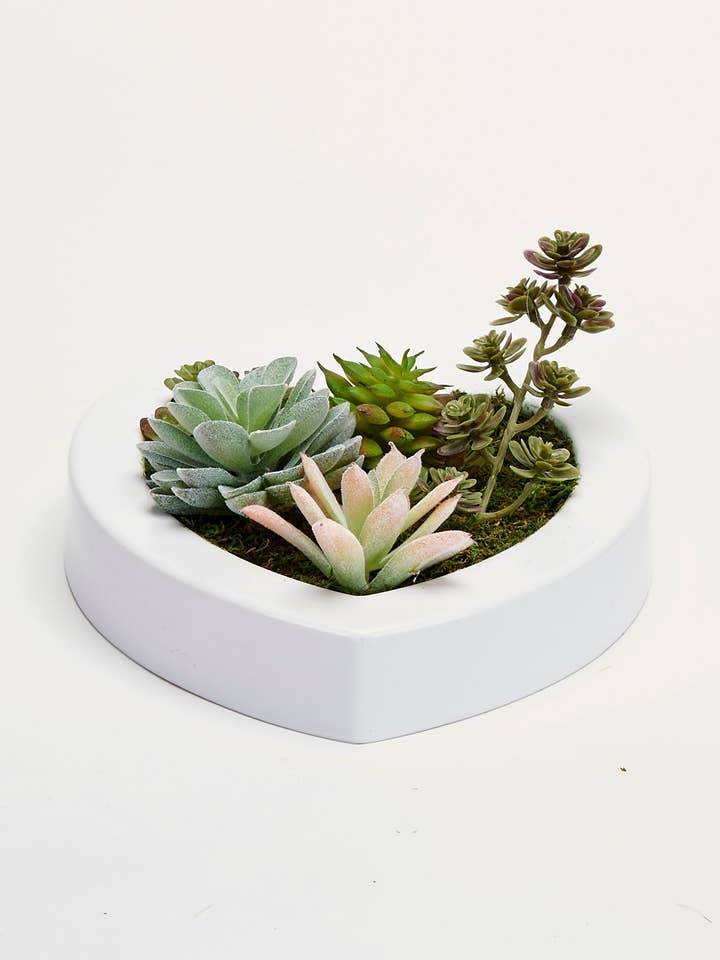 Mixed Succulents In 7" Heart Shaped Whte Dish Garden for wholesale by WORTH IMPORTS