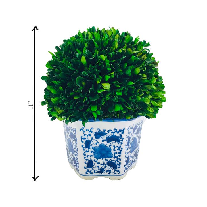 Galt International Company - Vendita all'ingrosso Piante artificiali - Topiaria a forma di palla di bosso in vaso esagonale in ceramica blu e bianca