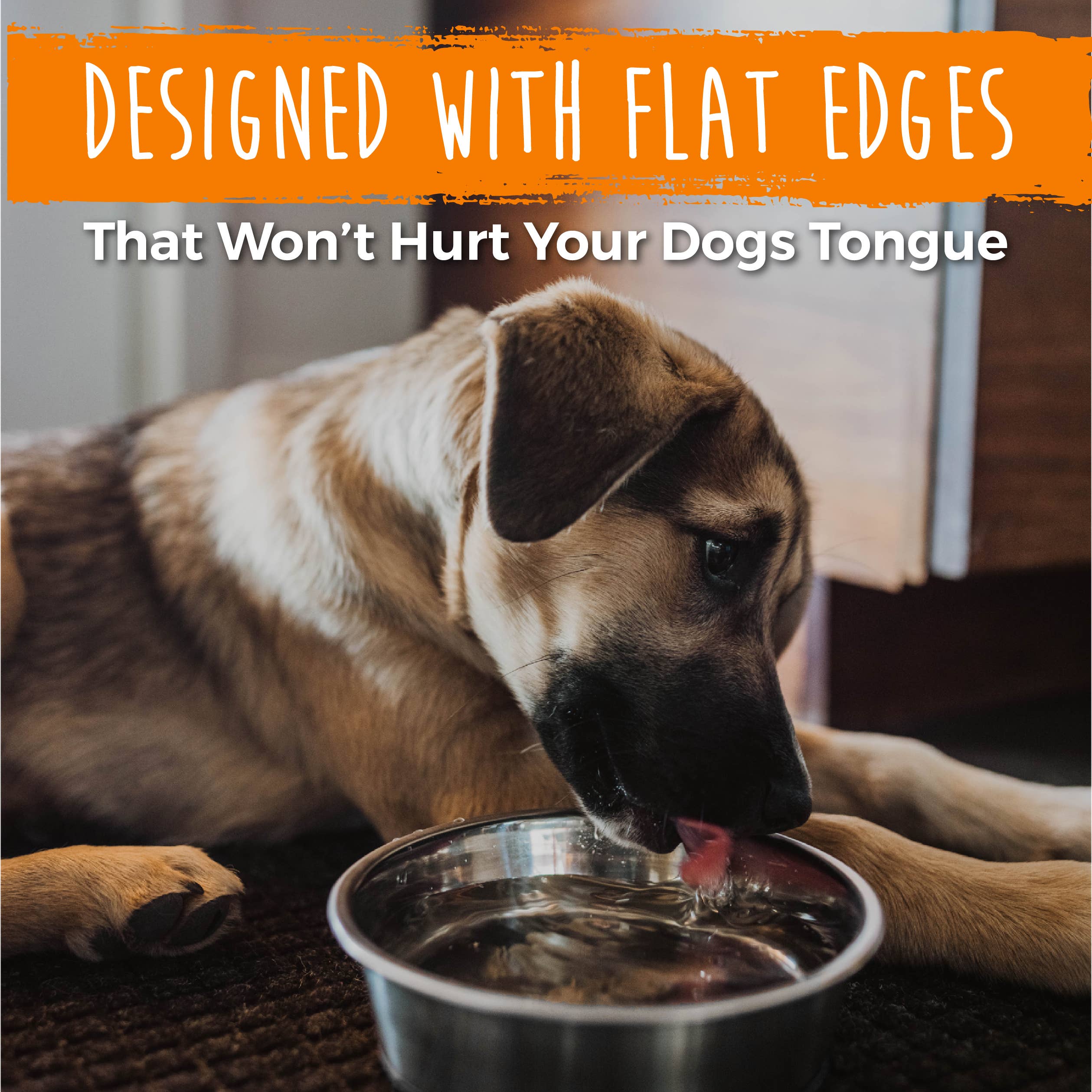 Mighty Paw - Wholesale Pet Bowl - Cat/Dog - Stainless Steel Dog Bowls (2 Pack)5