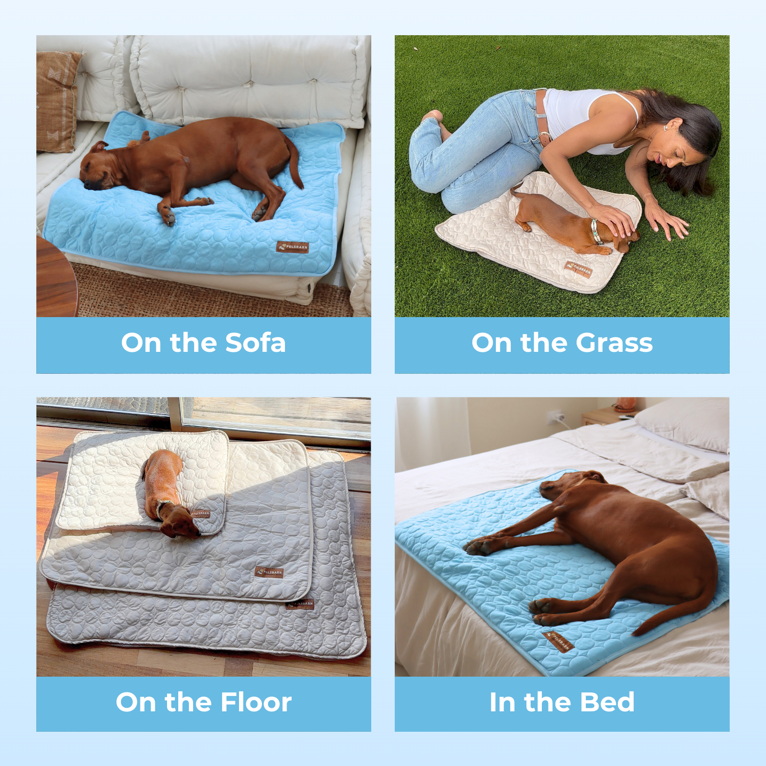 Pelsbarn - Wholesale Pet Bed - Dog - Natural Cooling Mat - Pelsbarn helps shelter dogs!14