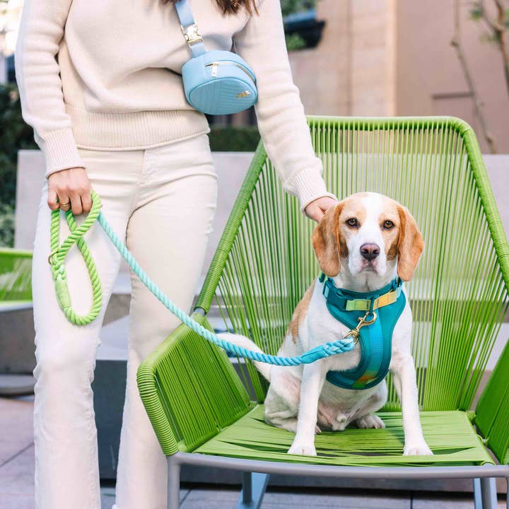 Pink Papyrus | Premium, Durable, & Stylish Dog Products - Wholesale Pet Harness - Dog - Joey Dog Harness | No Pull Harness | Teal Dog Harness2