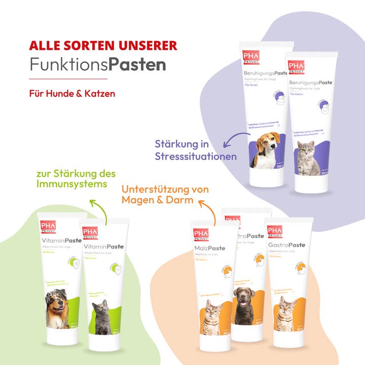 Kauartikel.com GmbH - Wholesale Pet Supplement - Cat/Dog - PHA vitamin paste for cats 100ml (5 pieces)