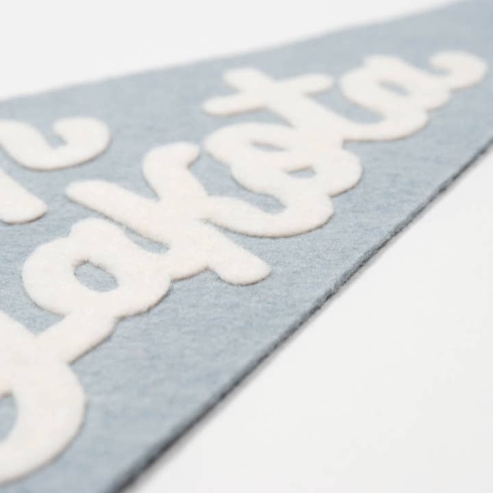 traveldashery - Wholesale Banner - north dakota pennant25