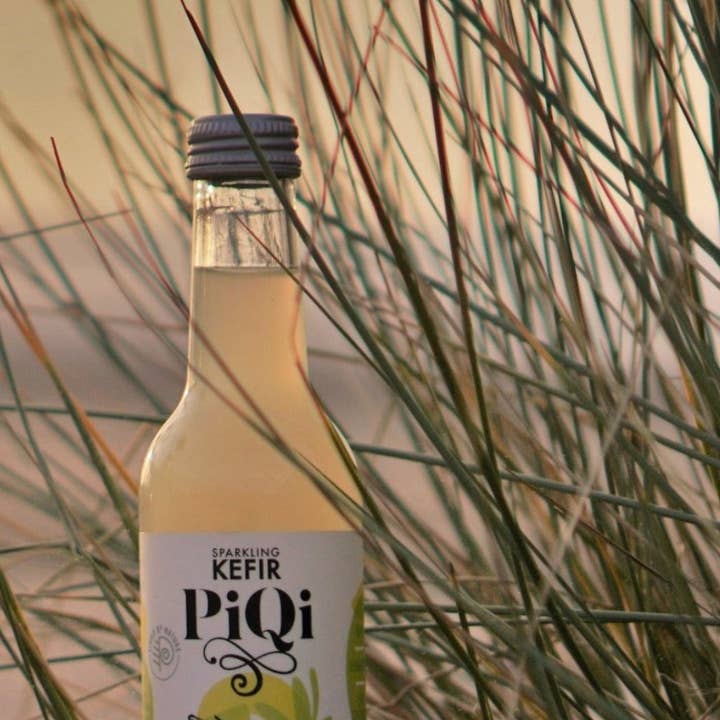 PiQi – Engroshandel Kombucha – Ingefær & citronvand Kefir (250 ml)