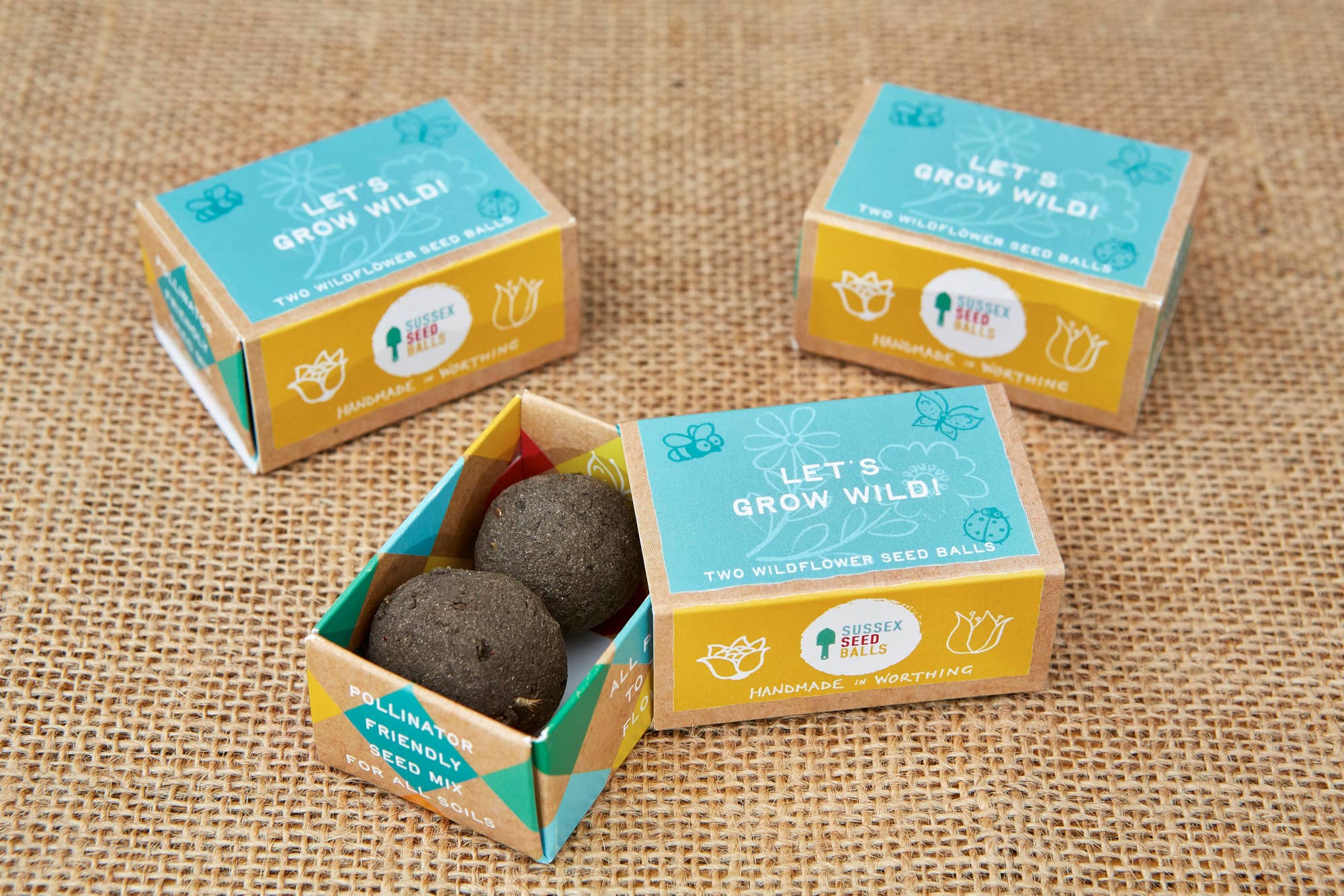 Sussex Seed Balls - Vente Graines de plantes - Coffret cadeau de boules de graines Grow Wild, avec deux boules de graines de fleurs sauvages2