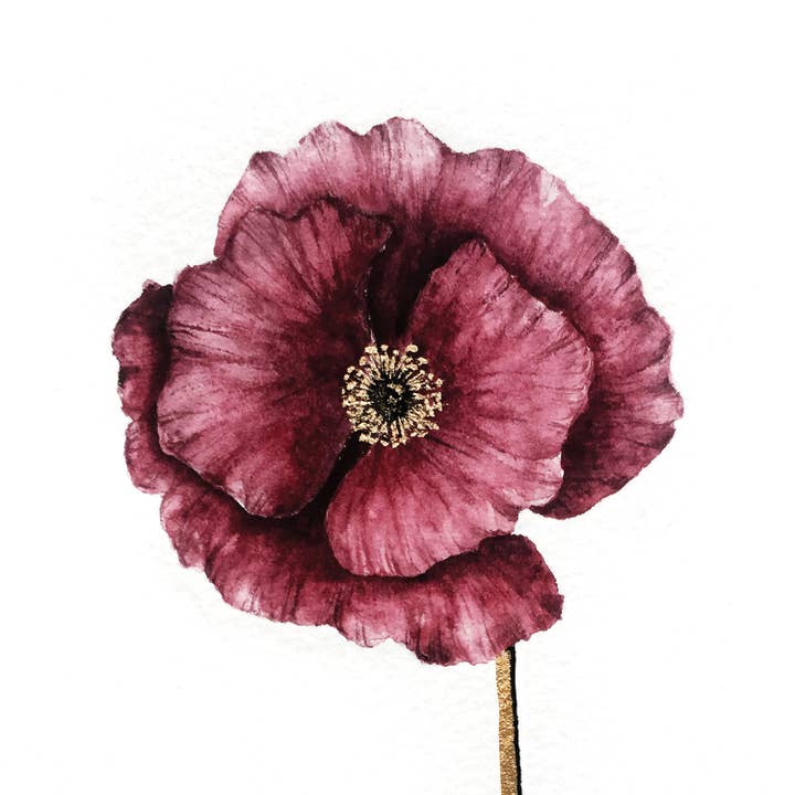 The Flow Design - Wholesale Art Print - Floral Print of Poppy Flower - Poppy Poster Wall Art