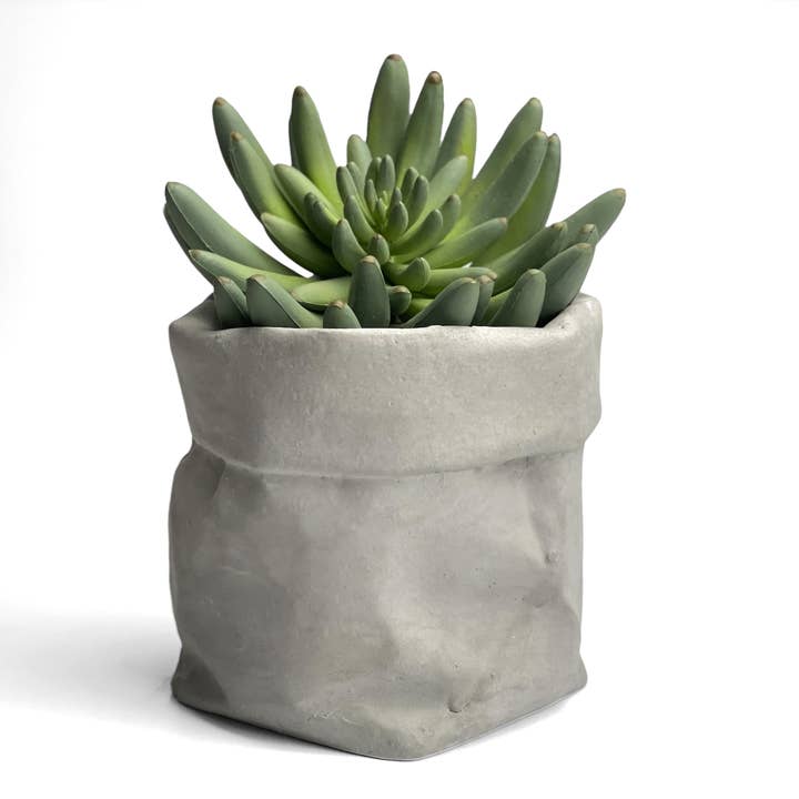 AURA 8 Art Boutique – wholesale Plant pot – Paper Bag Flower Pot, Succulent Planter Pot, Concrete Vase