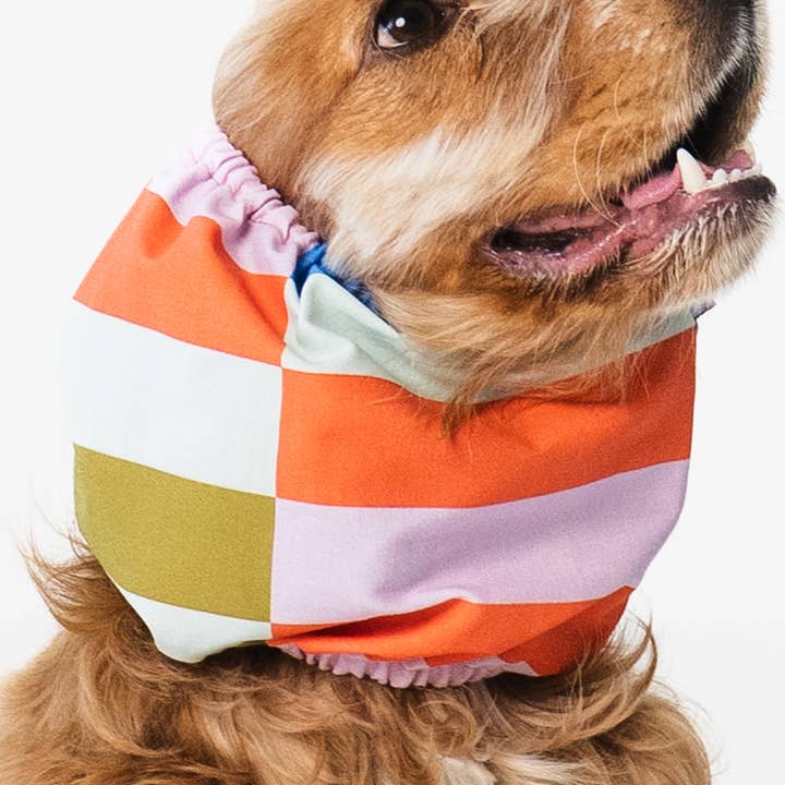 Lou and co. – Engroshandel Halsedisse - Hund – Hundesnood med striber0