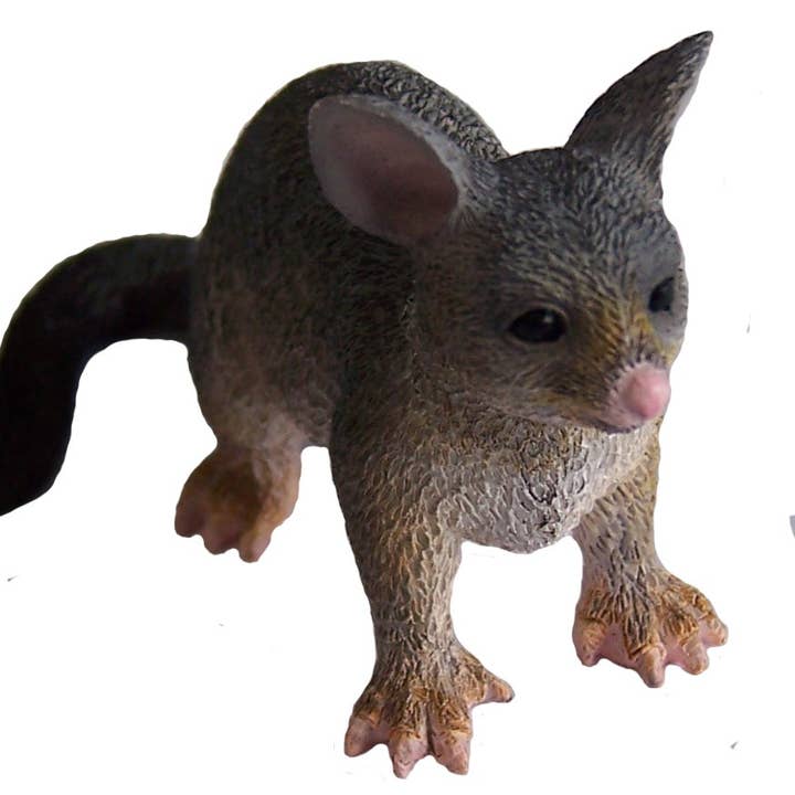 Science and Nature - Wholesale Figurine toy – Kids - Small Possum Replica(Pack of 10)0