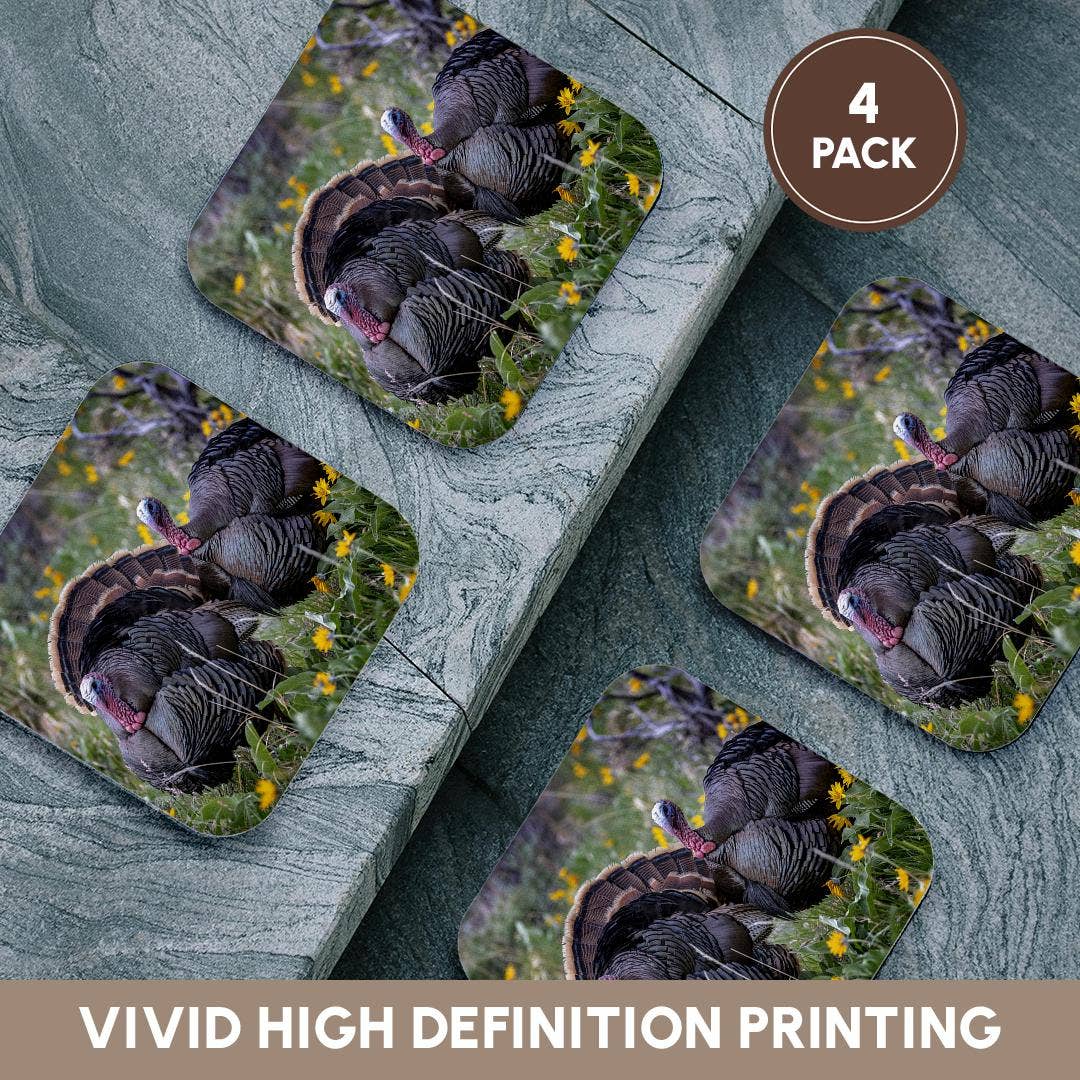 3dRose - Wholesale Coasters - 3dRose, Tom turkeys in breeding plumage in Great Basin NP, Nevada, USA, Coaster12