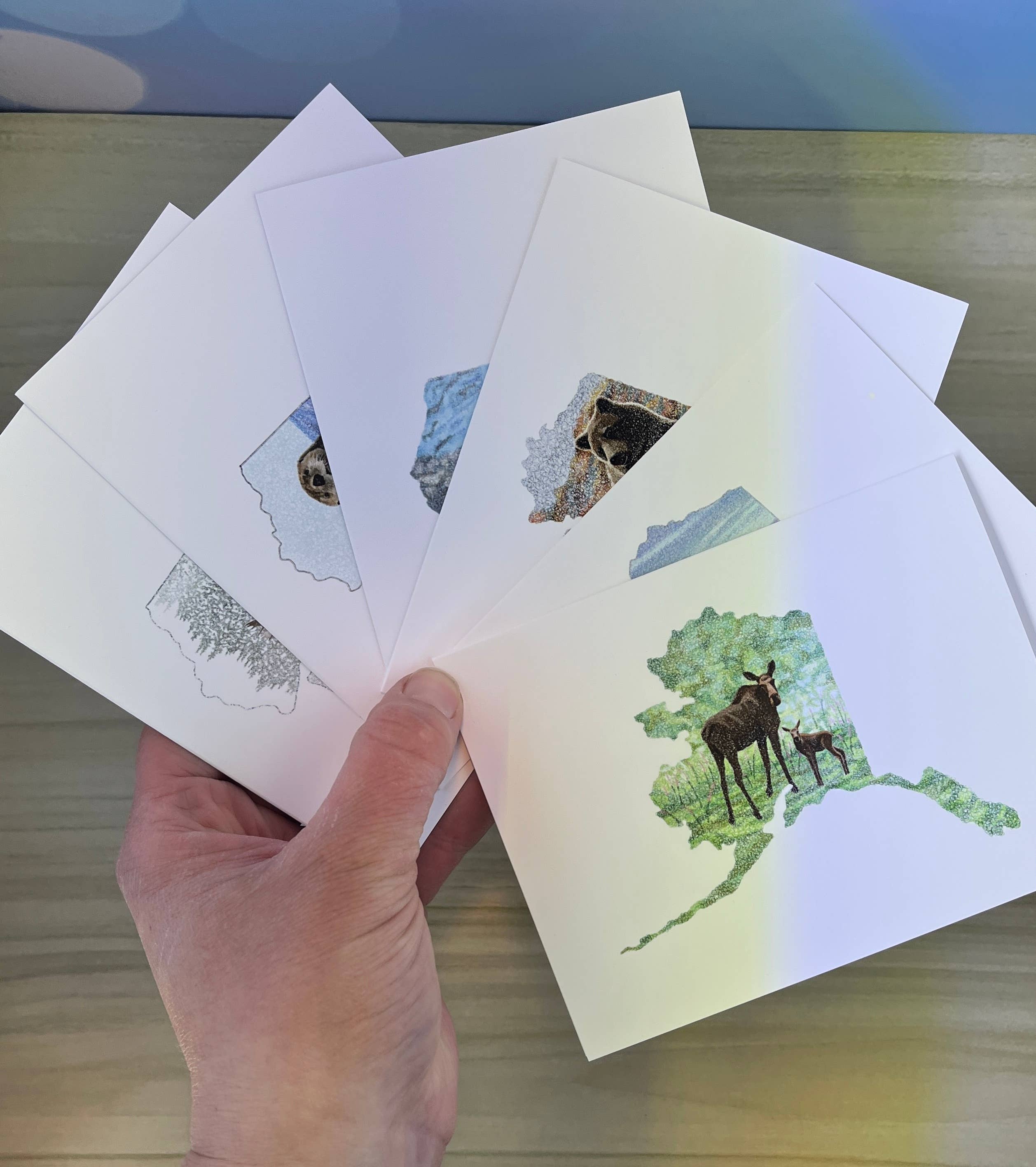 Sea Spray AK - Wholesale Everyday Greeting Card - Alaska State Map Momma Moose and Calf Greeting Card8