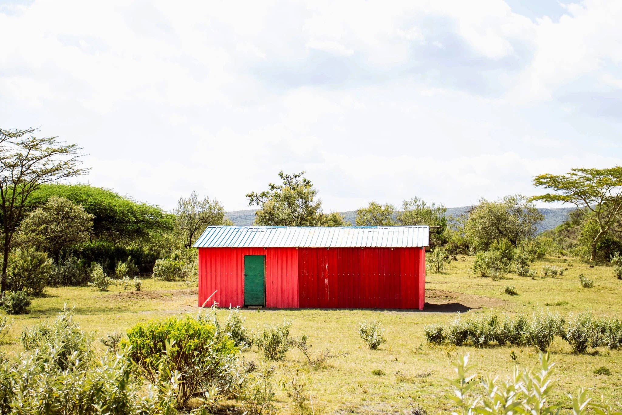 Rhythm & Hues - Wholesale Art Print - The Red Hut3