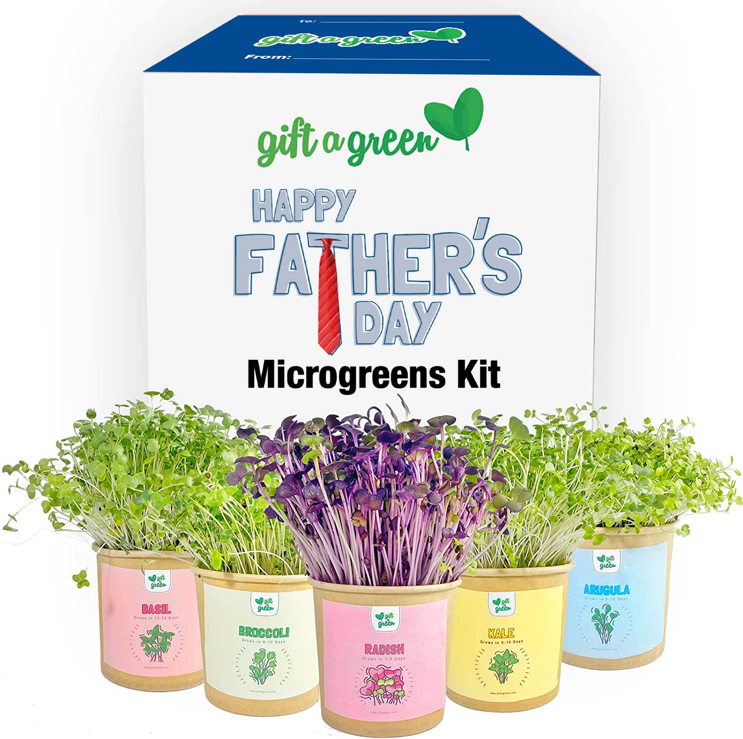 Happy Fathers Day Gift Box – giftagreen