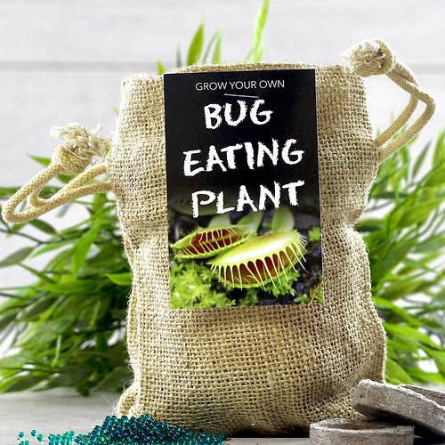 BEEcycle - Wholesale Plant Seeds - Bug Eating Plant Jute Bag Grow Set2