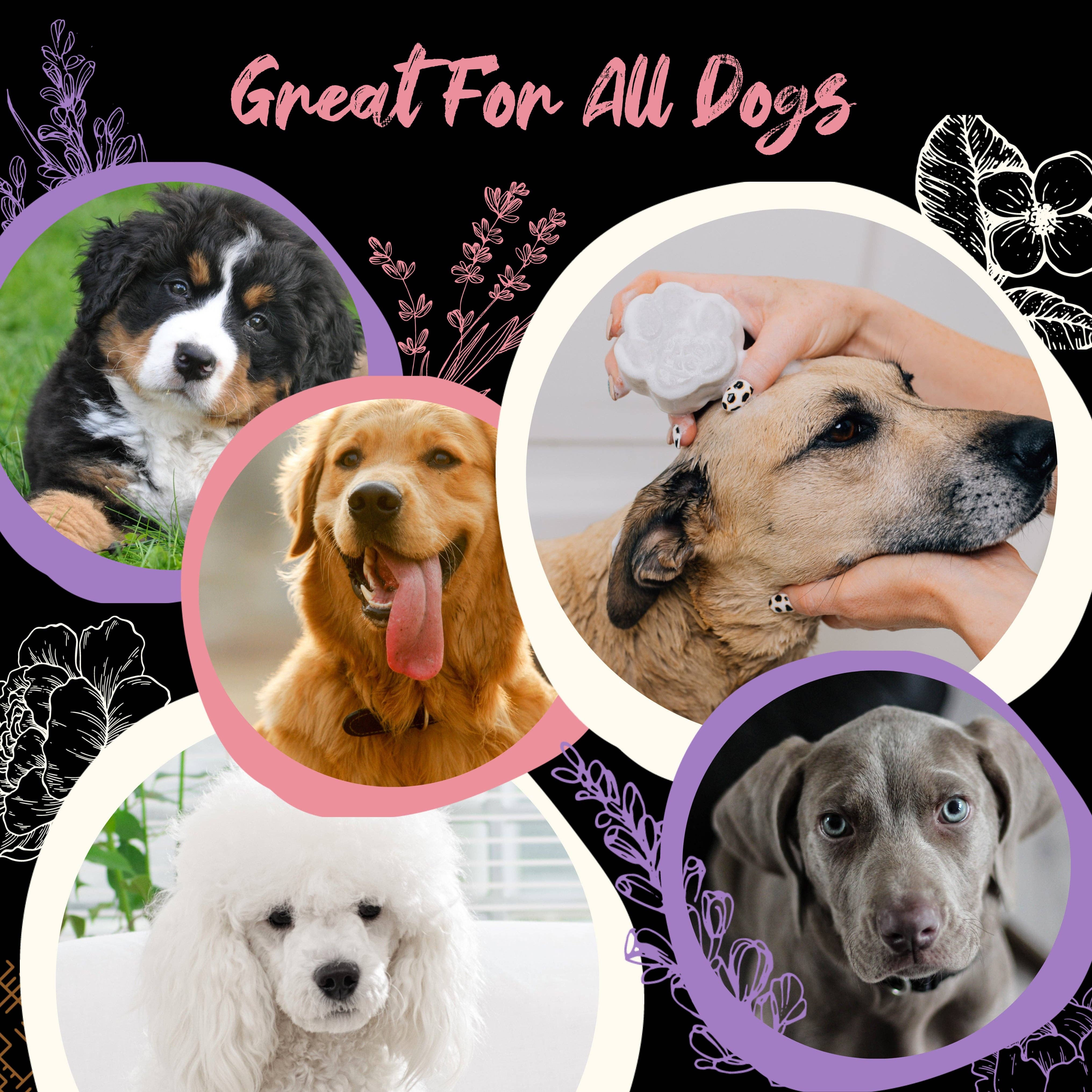 Viori Beauty - Wholesale Pet Shampoo - Dog - Pet Shampoo Bar | Pawson & Co. | Cherry Blossom3