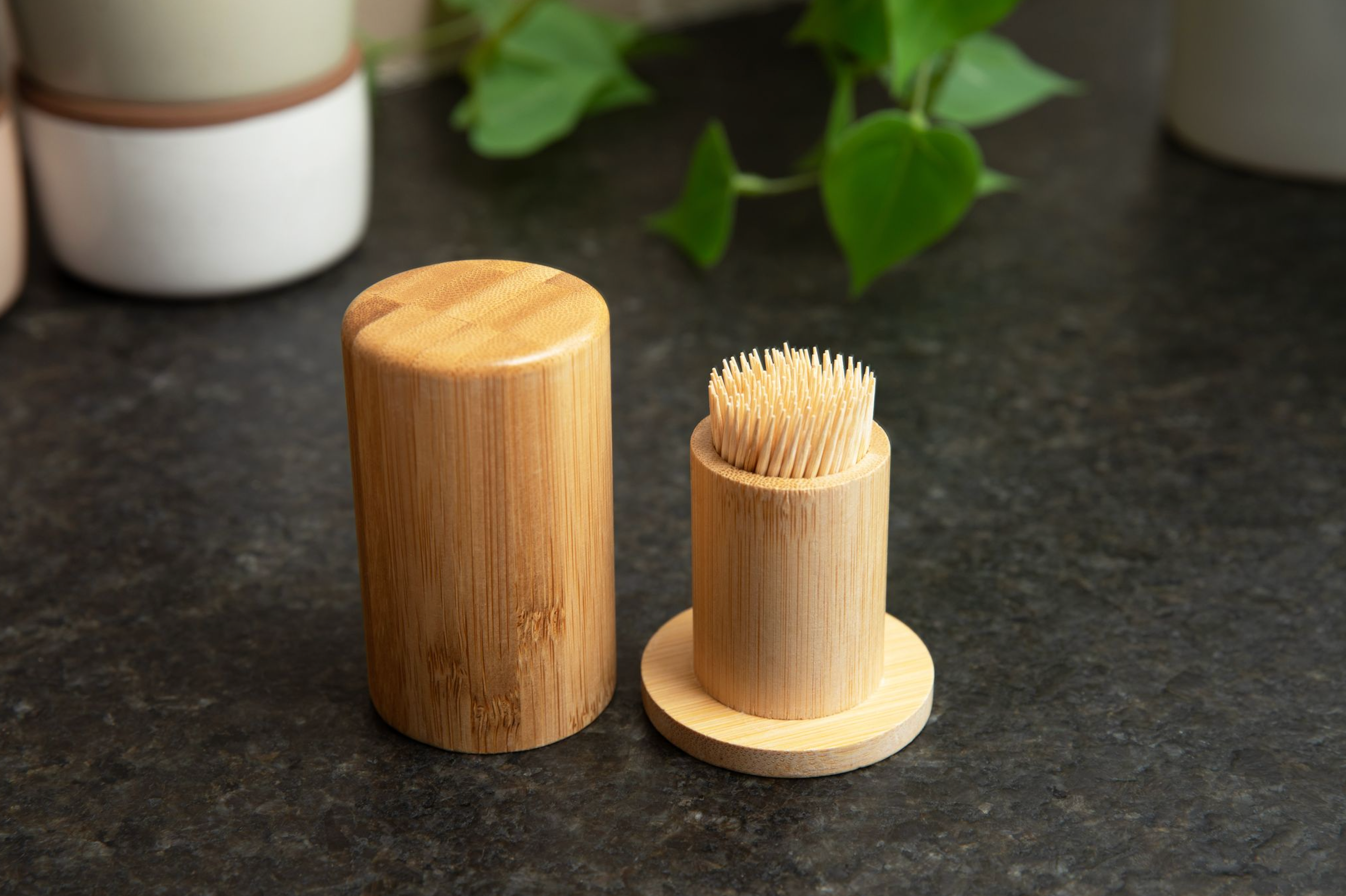 Bamboo Switch - Wholesale Kitchen Tool/Gadget - Bamboo Toothpick Holder2