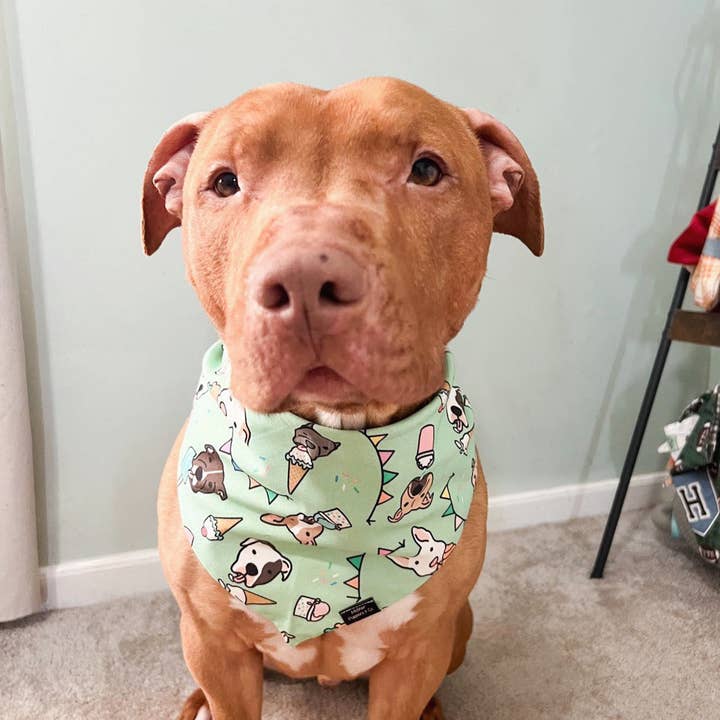 Mother Puppers Co. - Wholesale Pet Bandana - Dog - Pitty Pawty Bandana3