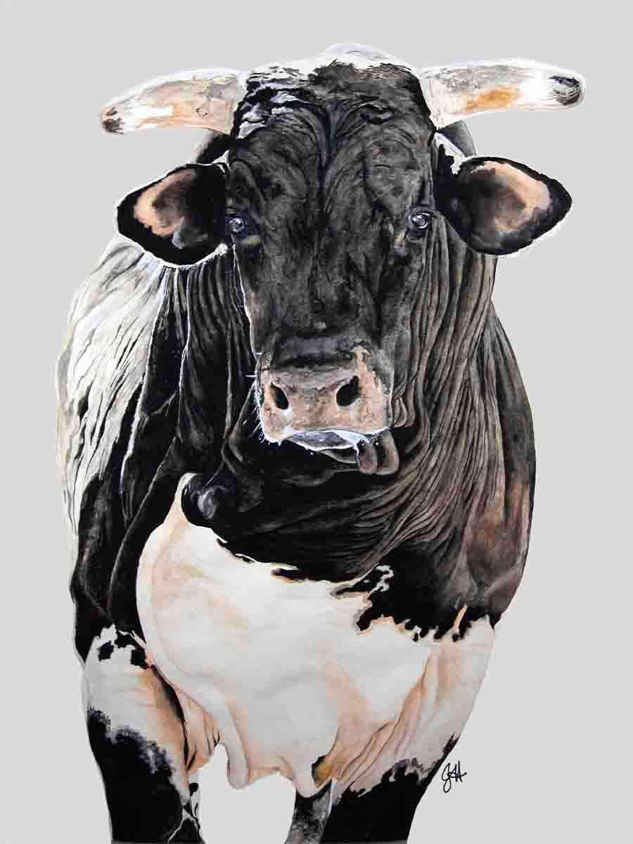 DOLLY ESTELLE - Wholesale Cutting Board - Charcuterie  Cutting Boards - Mix & Match5