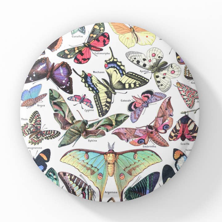 Butterfly Pin Button, Butterfly Keychain, Butterfly Magnet for wholesale by NatureCuts
