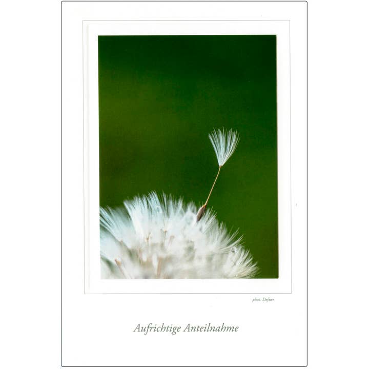 cartão de simpatia por atacado de Defner Photo Verlag seit 1919
