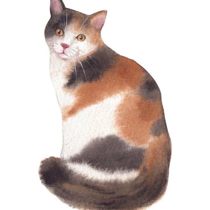 Calico Cat Note Cards for wholesale by Bourbon & Bacon