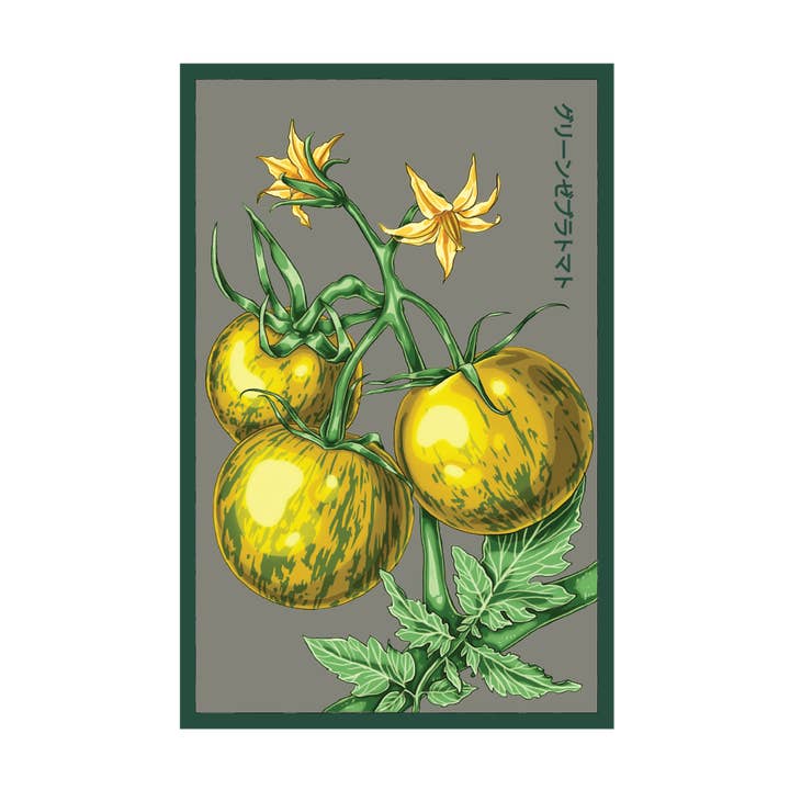 Chive - Wholesale Plant Seeds - 2026 Tomato Green Zebra Vegetable Seeds Packet