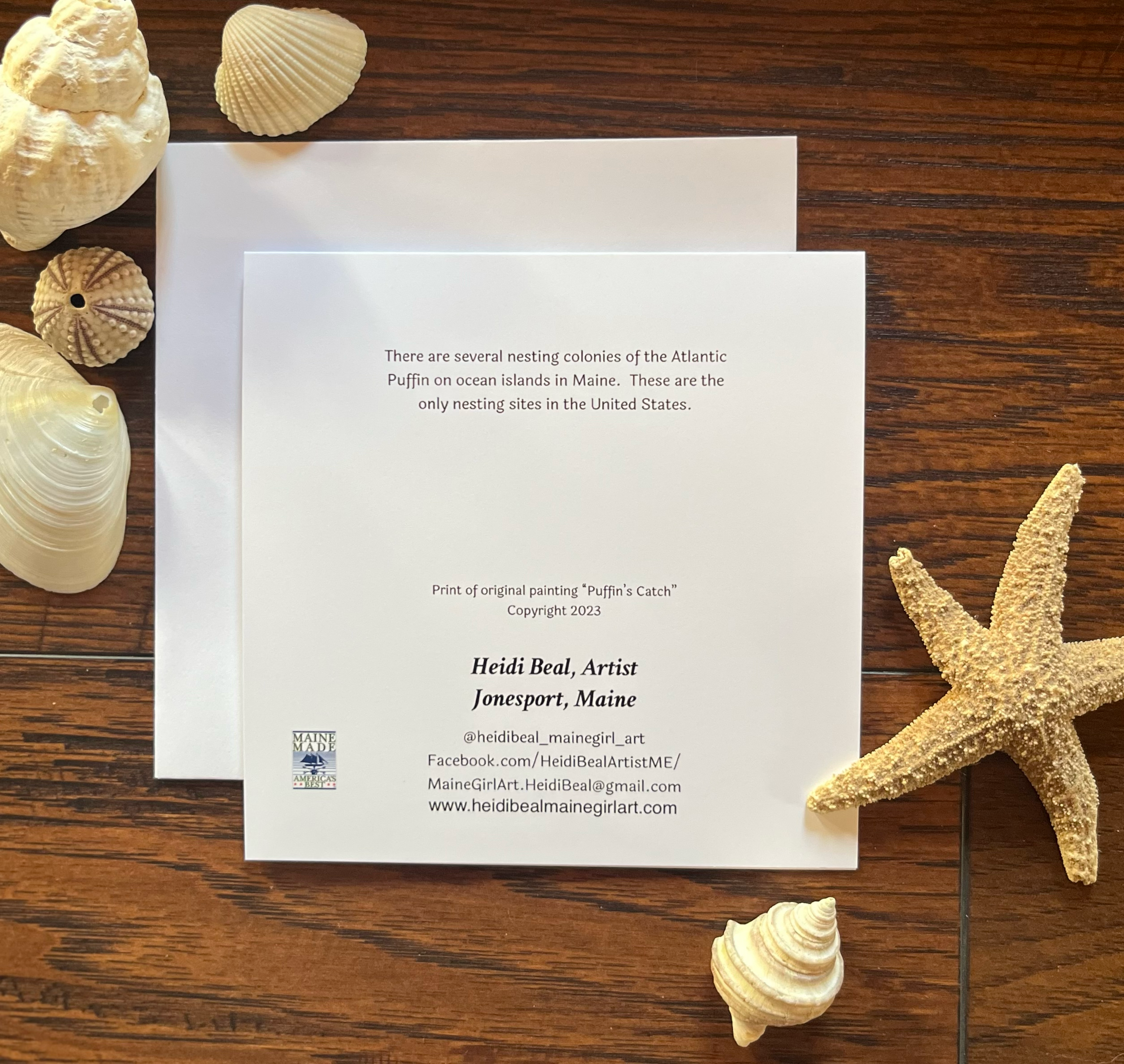 Maine Girl Art - Wholesale Everyday Greeting Card - Puffin's Catch blank fine art greeting card Maine1