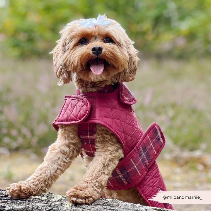 Cocopup London - Wholesale Pet coat – Dog - LUXE Quilted Dog Coat - Mulberry Plaid9