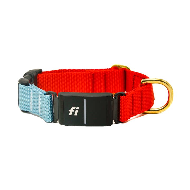 Fi Collar Band - Mix & Match for wholesale by LUCKY + DOG