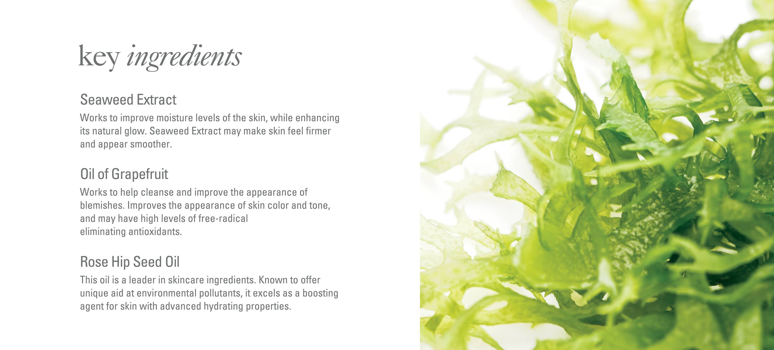 Goldfaden MD - Wholesale Facial Cleanser - Pure Start3