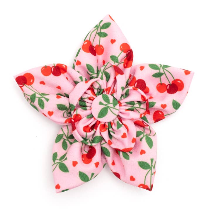 Flor de Jubileo de Cerezas para venta al por mayor de The Worthy Dog