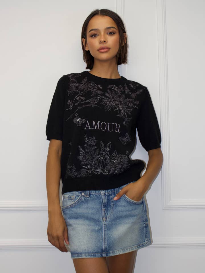 Round neck short sleeve sweater with embroidery details for wholesale by Chilli Girl Collection