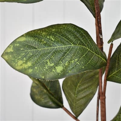 David Christopher's Collection - Wholesale Artificial Plant - 39" Magnolia Leaf Branch2