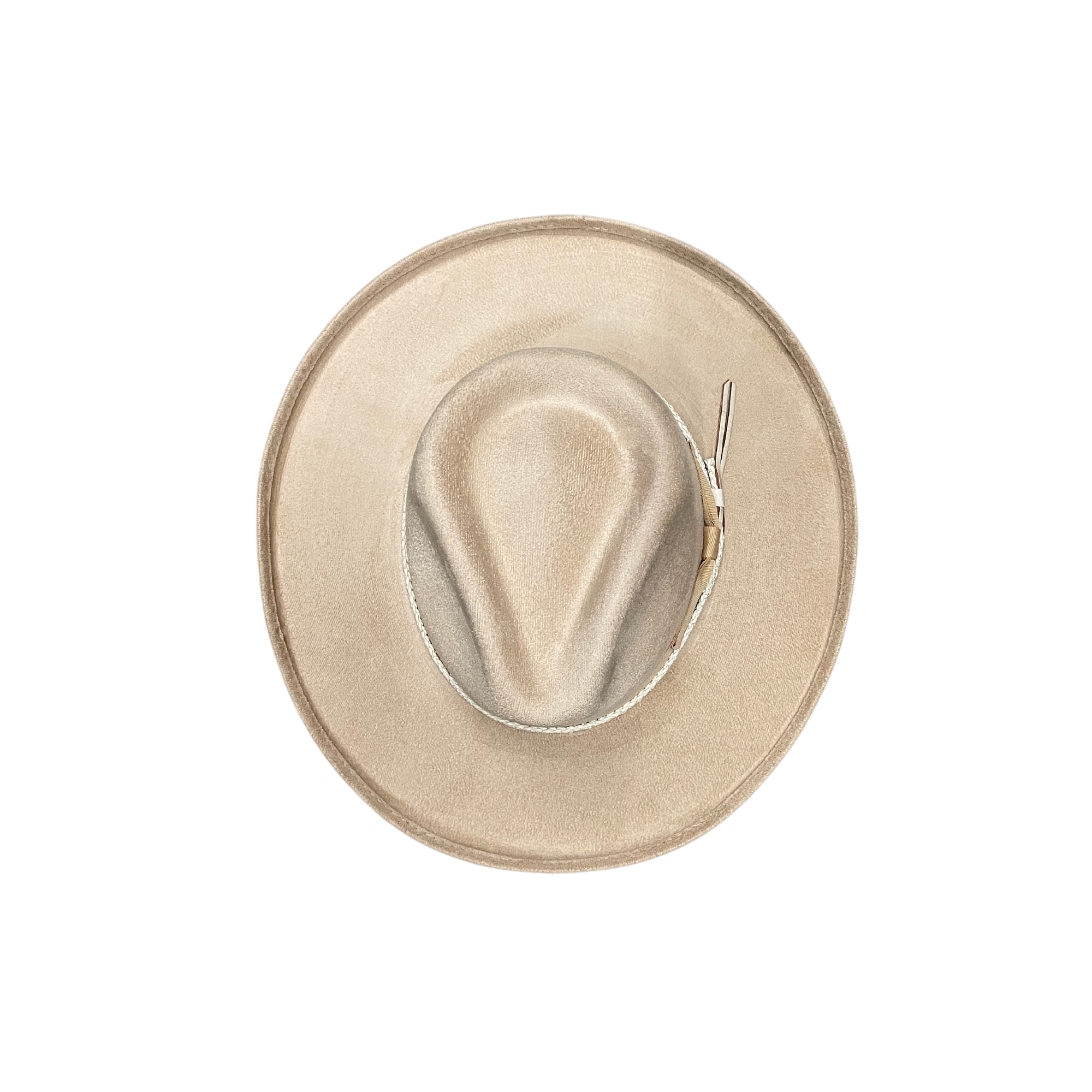 The Modern Cactus Co - Vendita all'ingrosso Fedora - Donna - Cappello Fedora Brooke con Tesa Rigida a Matita Vegan con Accessori5