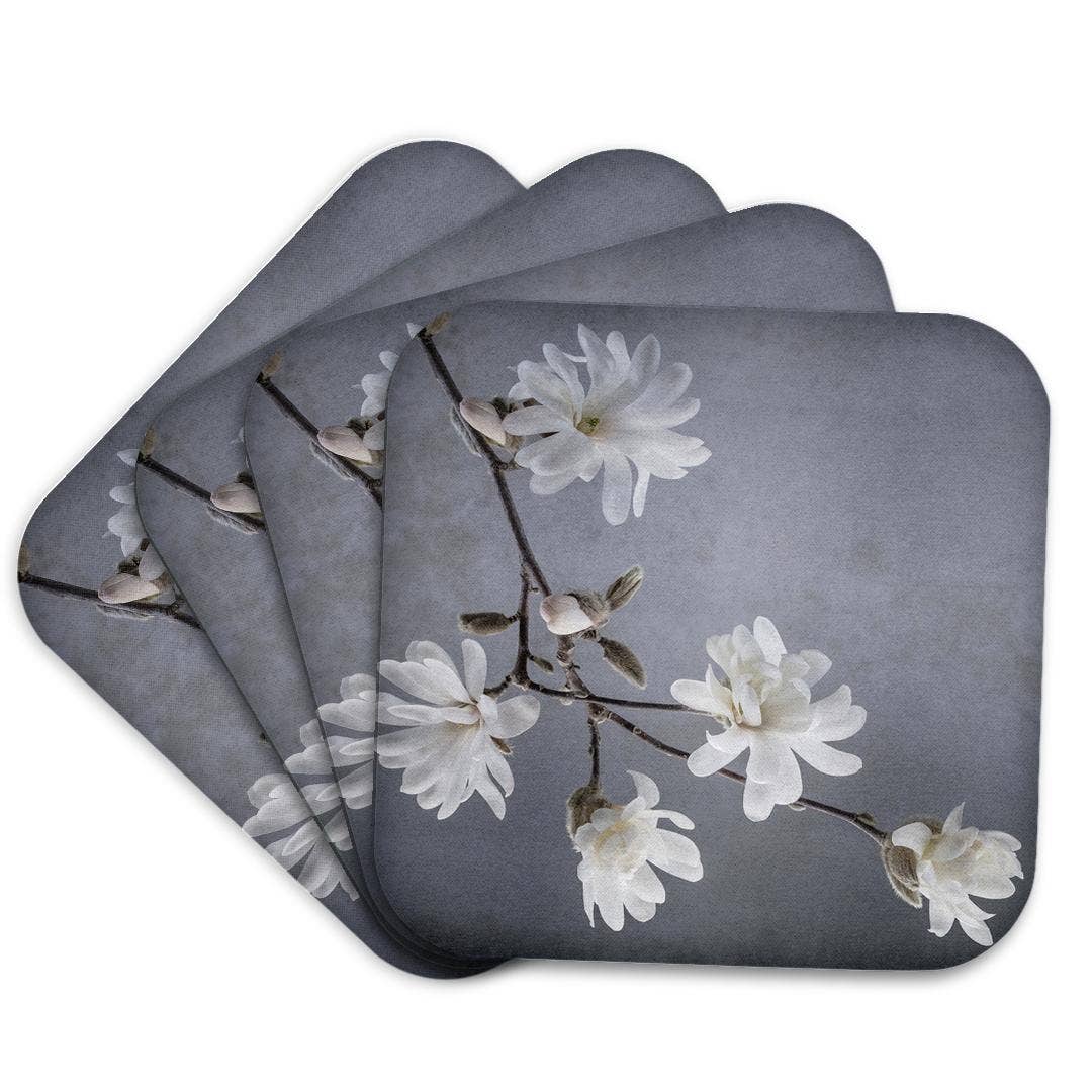 3dRose - Wholesale Coasters - 3dRose, USA, WA, Seabeck. White magnolia flowers and branches. , Coaster7