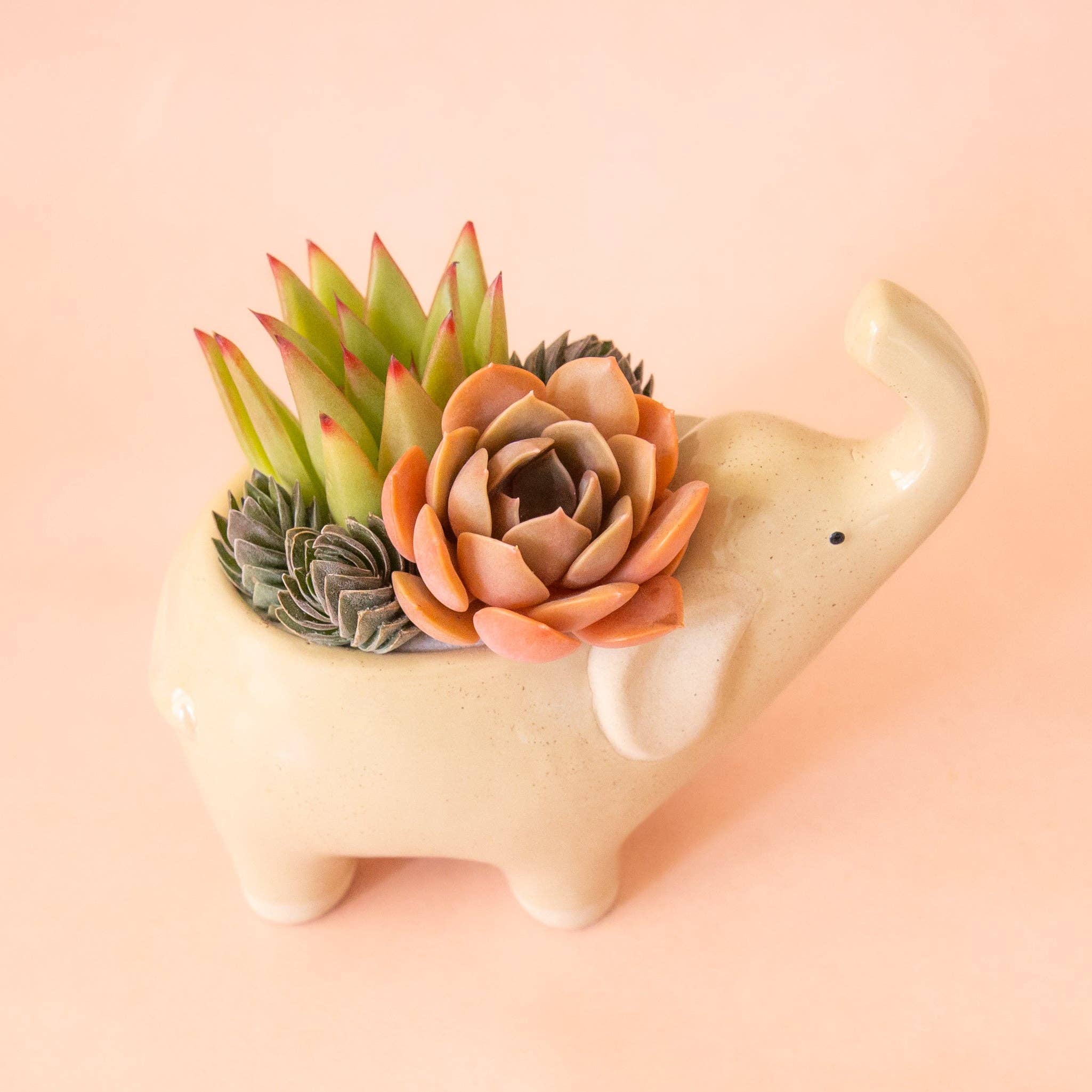 Jungle Club - Wholesale Plant Pot - Elephant Planter | Sand3