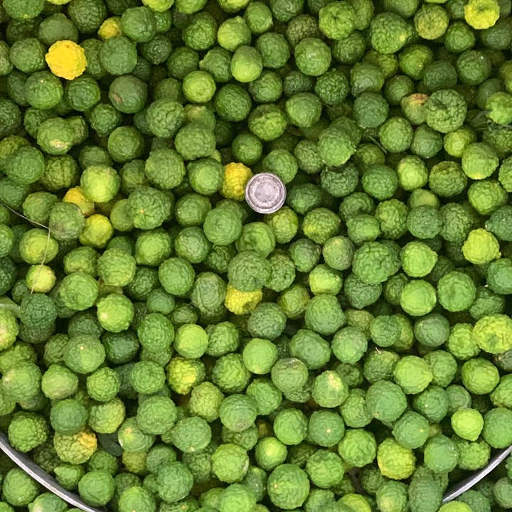 Essences Naturelles Corses - Vente Huile essentielle - Combava corse biodynamie - huile essentielle - Aromathérapie6