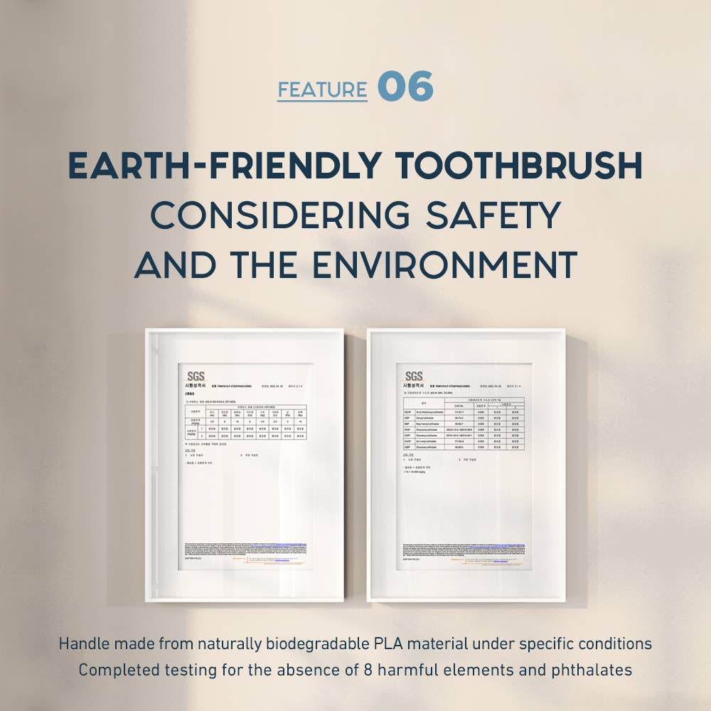 BeAll - Wholesale Toothbrush - Jelly Jello Toothbrush, Biodegradable Eco-Friendly- 18Colors31