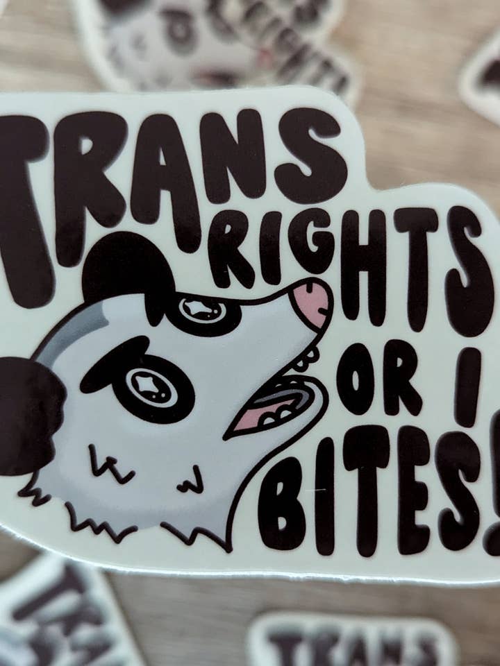 Trans Rights or I Bites - Cute Possum Vinyl Sticker LGBTQIA+ for wholesale by Sadsquatch