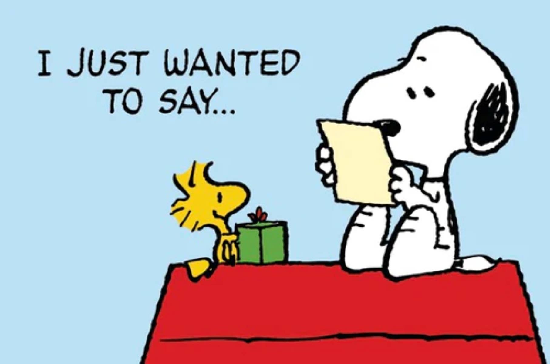 Close Up GmbH - Wholesale Christmas Decoration - Peanuts I Just Wanted to Say...0