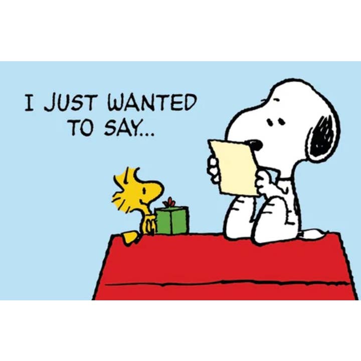 Close Up GmbH - Wholesale Christmas Decoration - Peanuts I Just Wanted to Say...