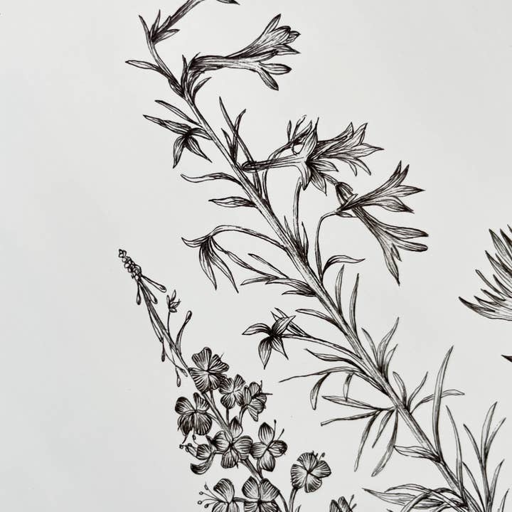 Vanee.ink - Wholesale Art Print - Alpine Wildflowers Print7