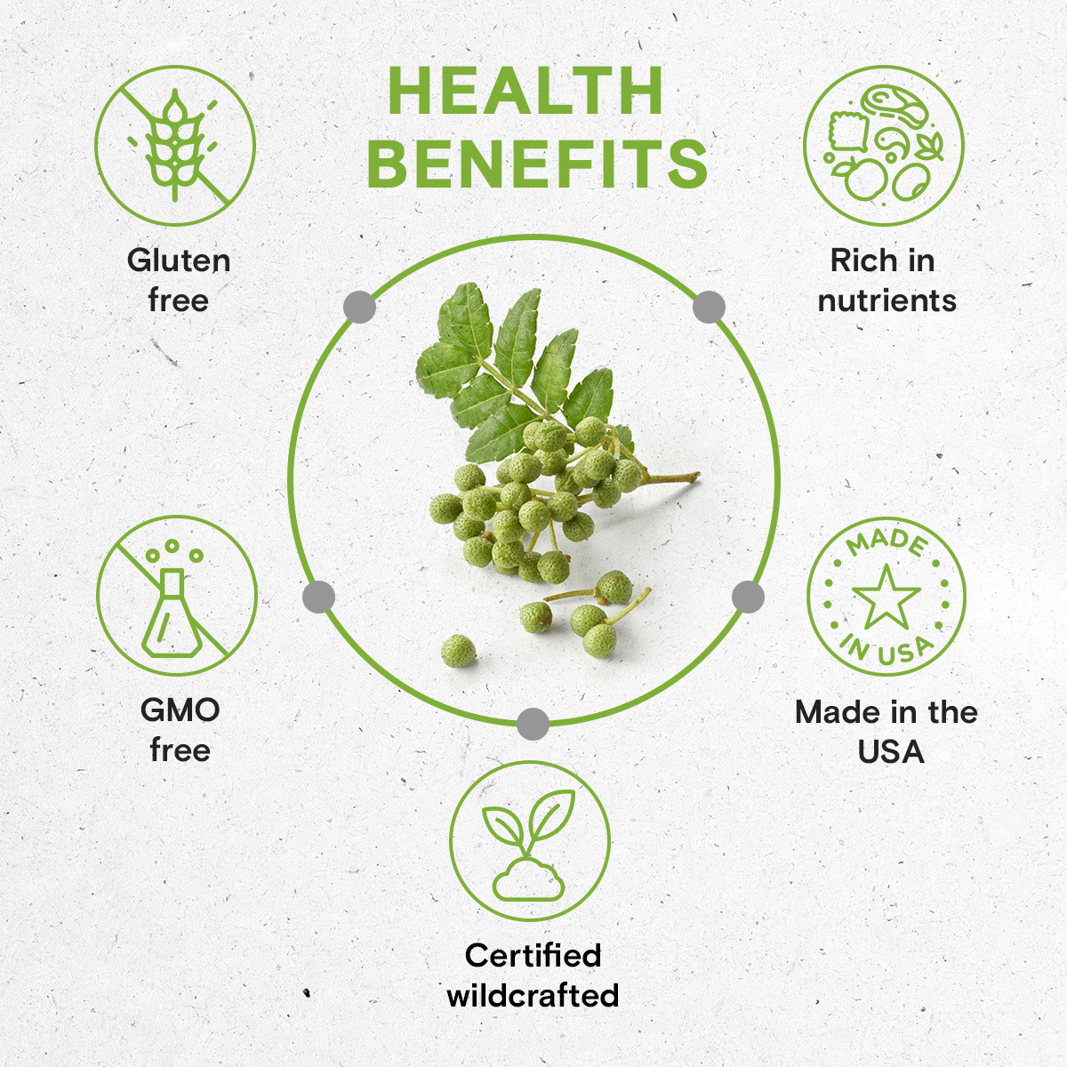 Secrets Of The Tribe - Wholesale Tincture - Prickly Ash Tincture4